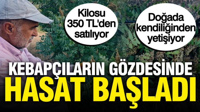 haber-gorseli-1786450495288