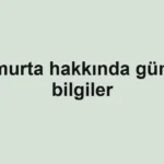 haber-gorseli-1790536695643