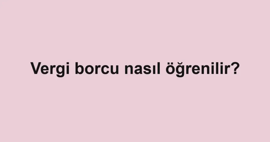 vergi-borcu-nasil-ogrenilir