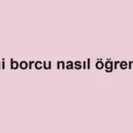 vergi-borcu-nasil-ogrenilir