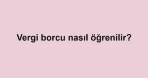 vergi-borcu-nasil-ogrenilir